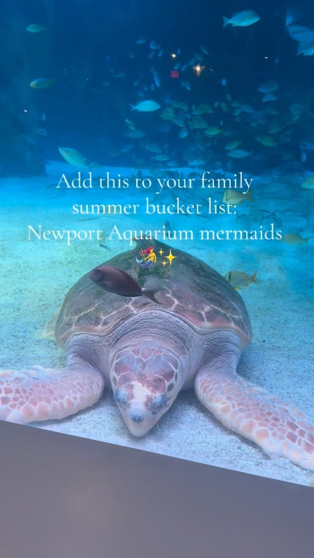 Post 6 by Newport Aquarium on Instagram (video)