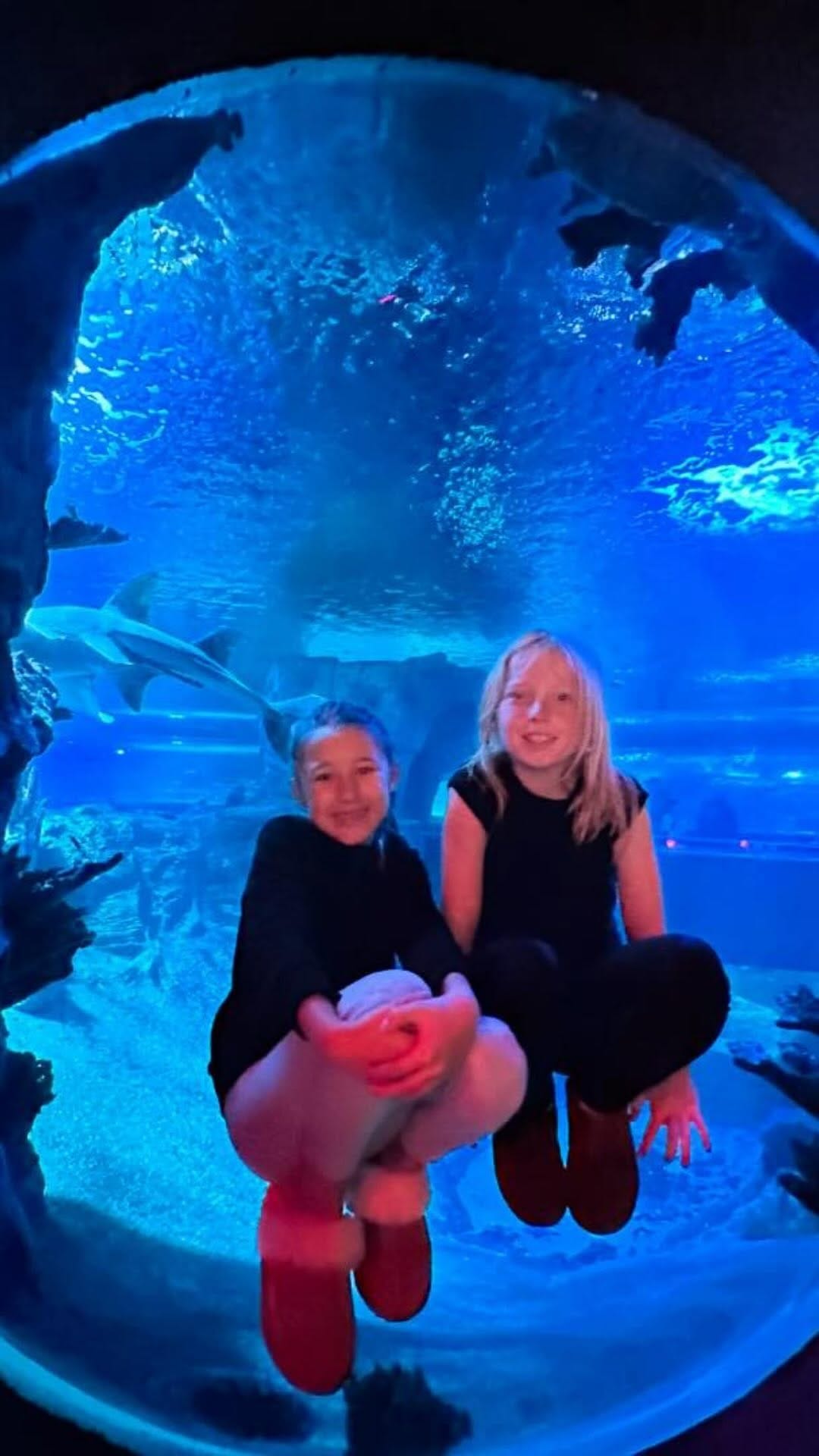 Post 9 by Newport Aquarium on Instagram (video)