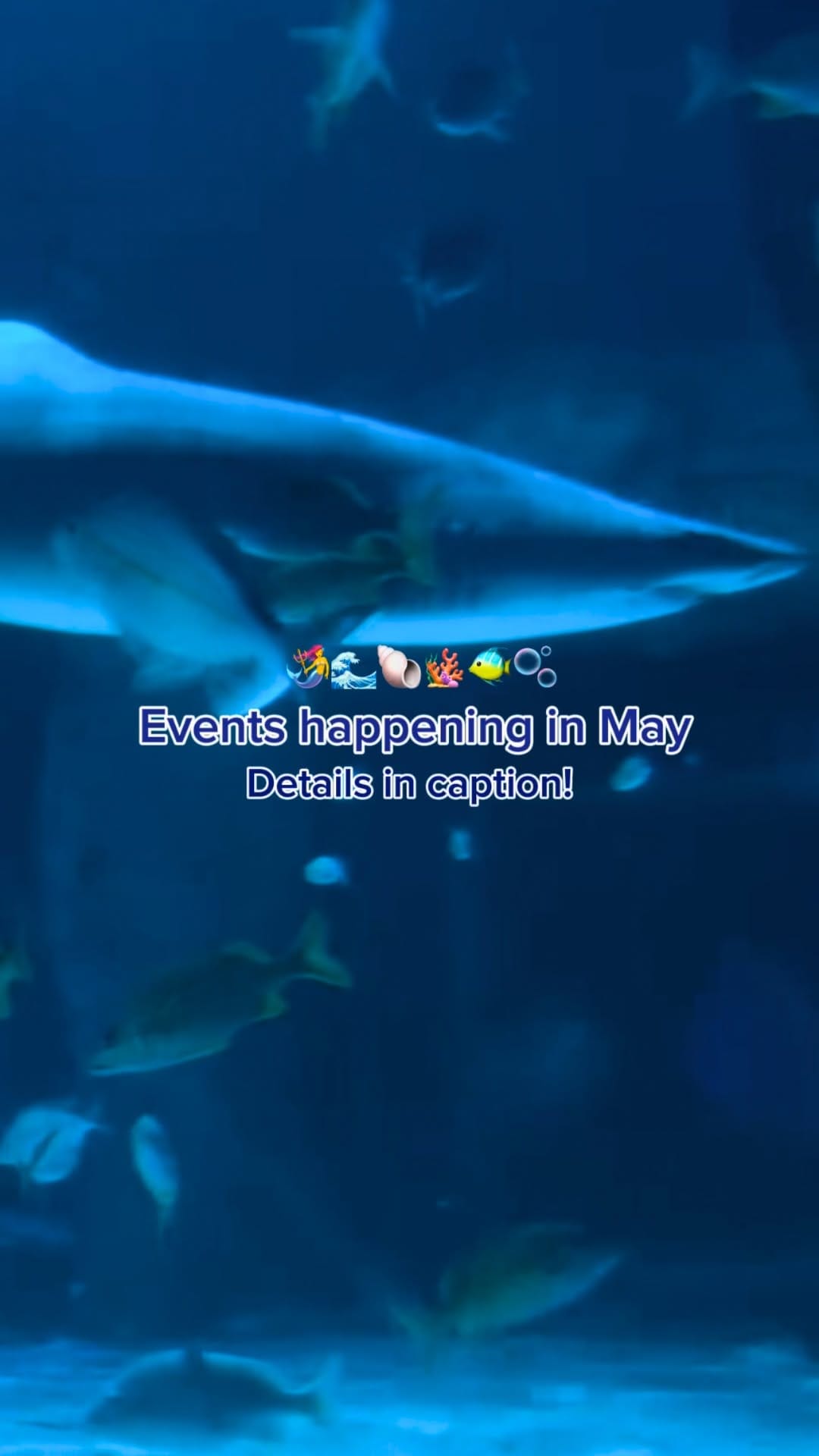 Post 8 by Newport Aquarium on Instagram (video)
