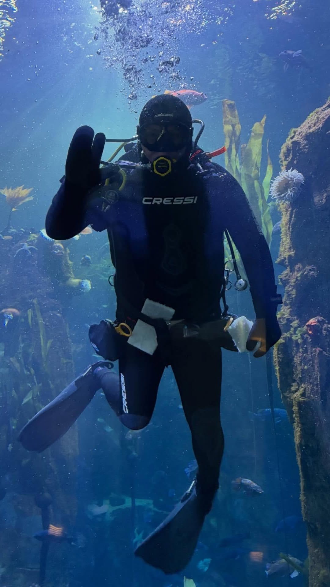 Post 10 by Newport Aquarium on Instagram (video)