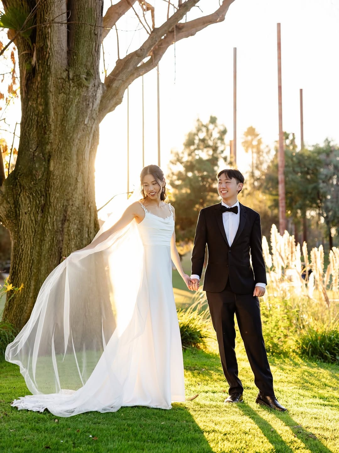 Post 8 by jessie rowan - SOUTH BAY PHOTOGRAPHER on Instagram (carousel)
