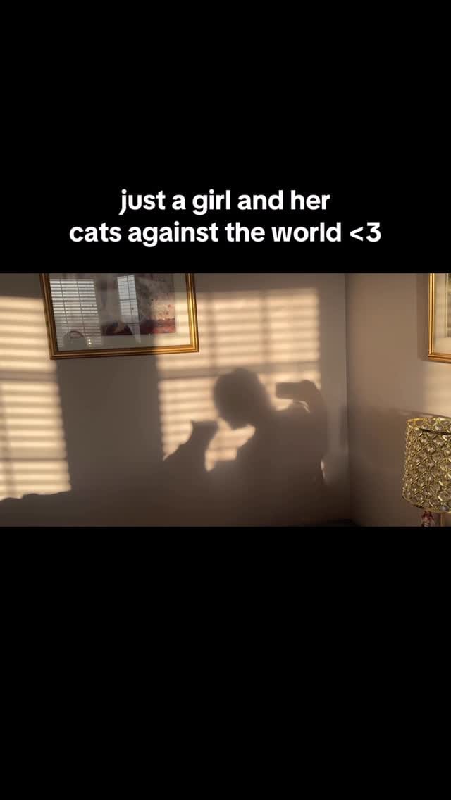 Post 2 by Chonk & Beans & Squeaky on Instagram (video)