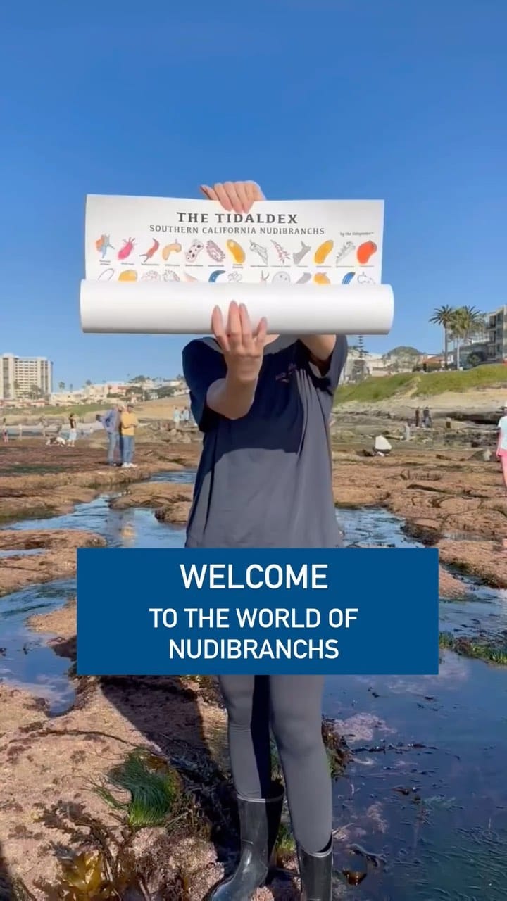 Post 10 by @thetidepooler on Instagram (video)