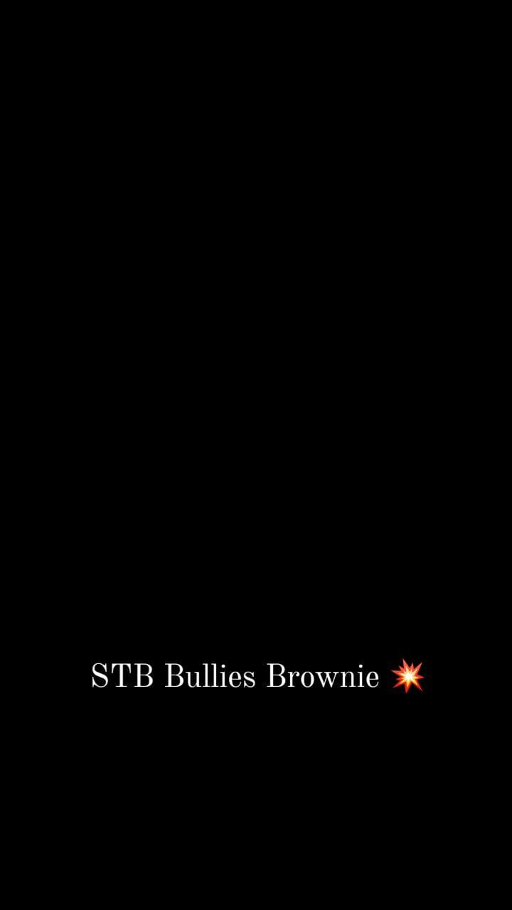 Post 2 by stb_bullies on Instagram (video)