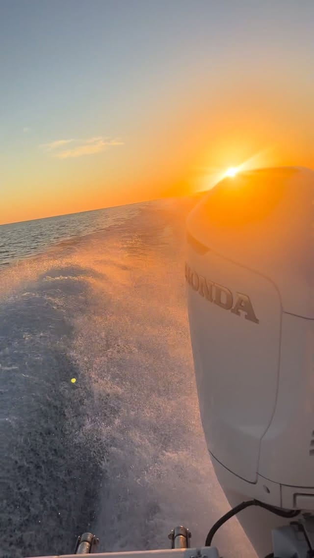 Post 1 by Captain Tom Katz - Offshore Fishing on Instagram (video)