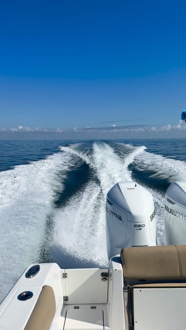 Post 4 by Captain Tom Katz - Offshore Fishing on Instagram (video)
