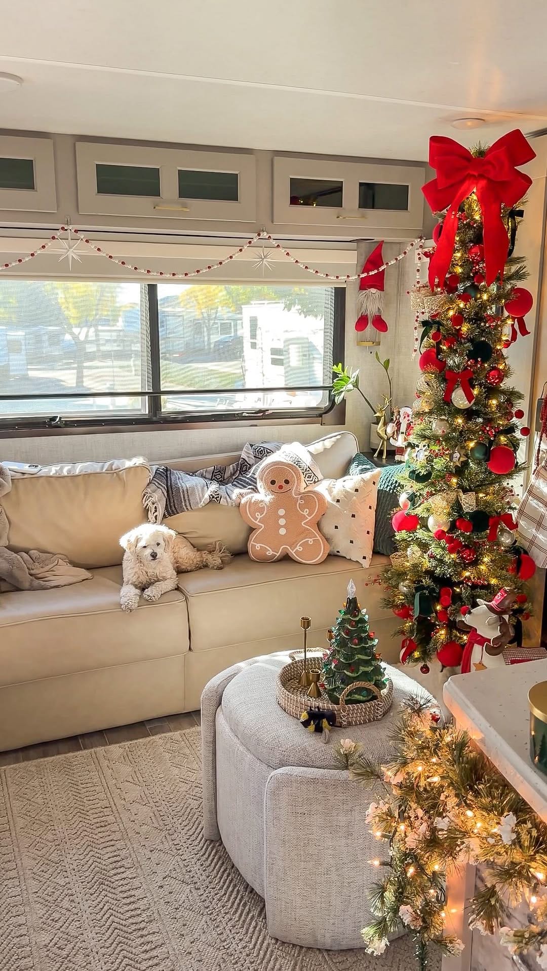 Post 7 by Mark & Carlos | Full time RV on Instagram (video)