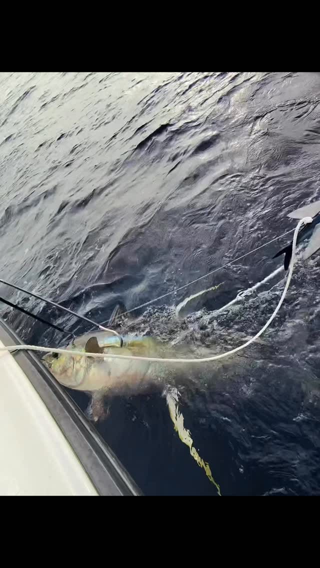 Post 1 by California Flyer Co. on Instagram (video)