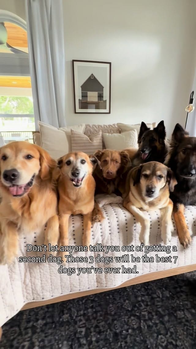 Post 6 by Welcome To The Zoo on Instagram (video)