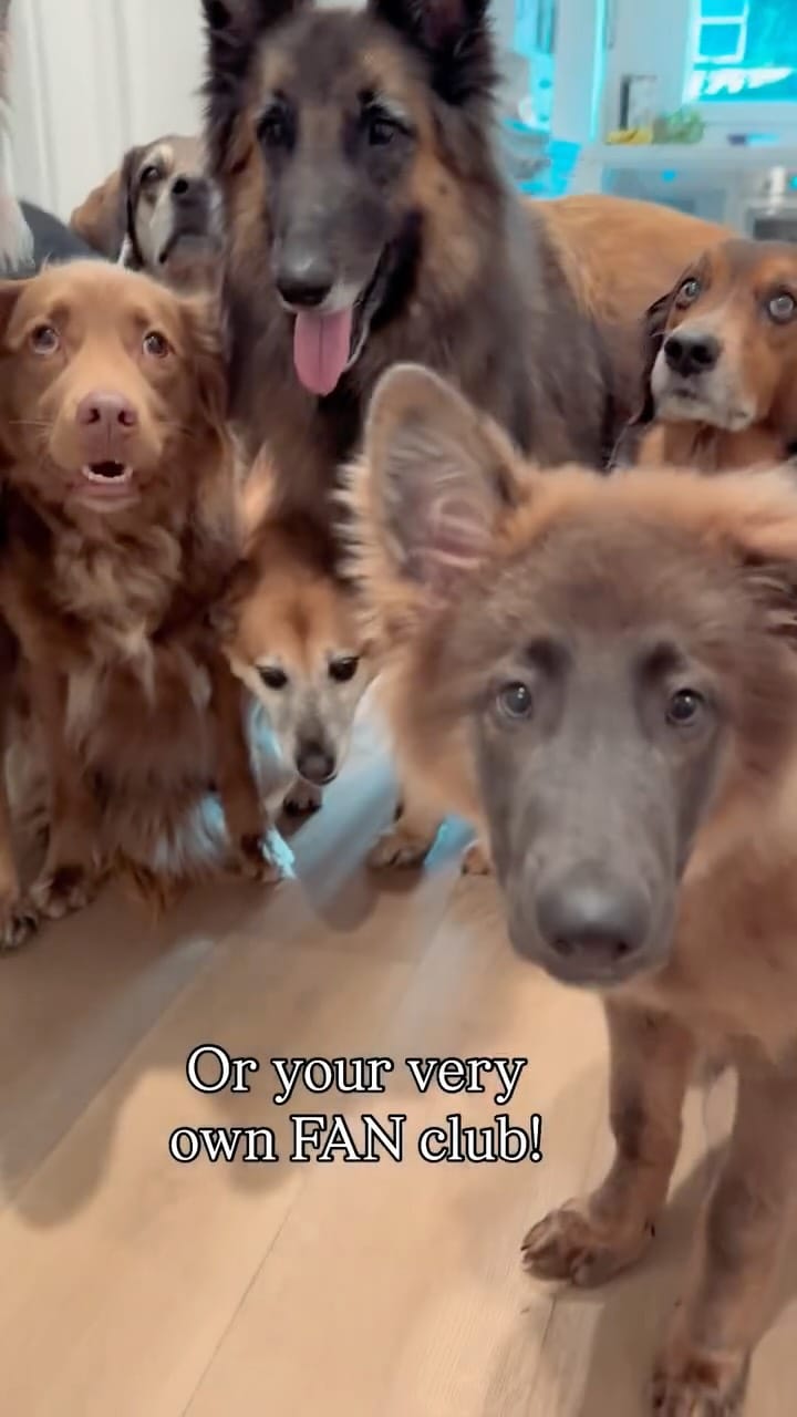 Post 10 by Welcome To The Zoo on Instagram (video)