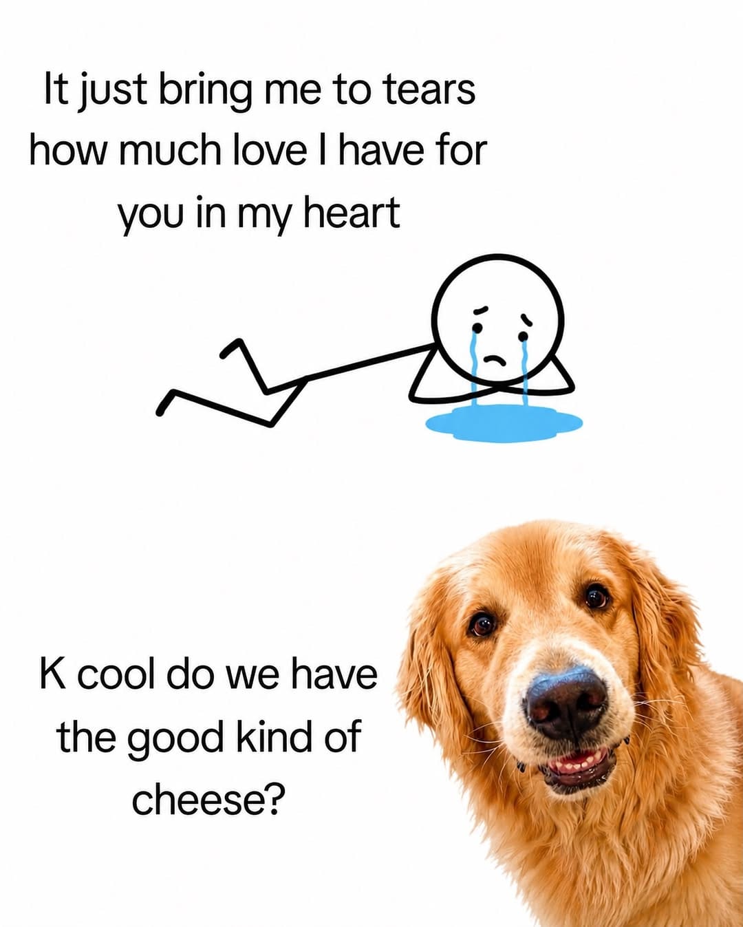 Post 1 by Welcome To The Zoo on Instagram (image)