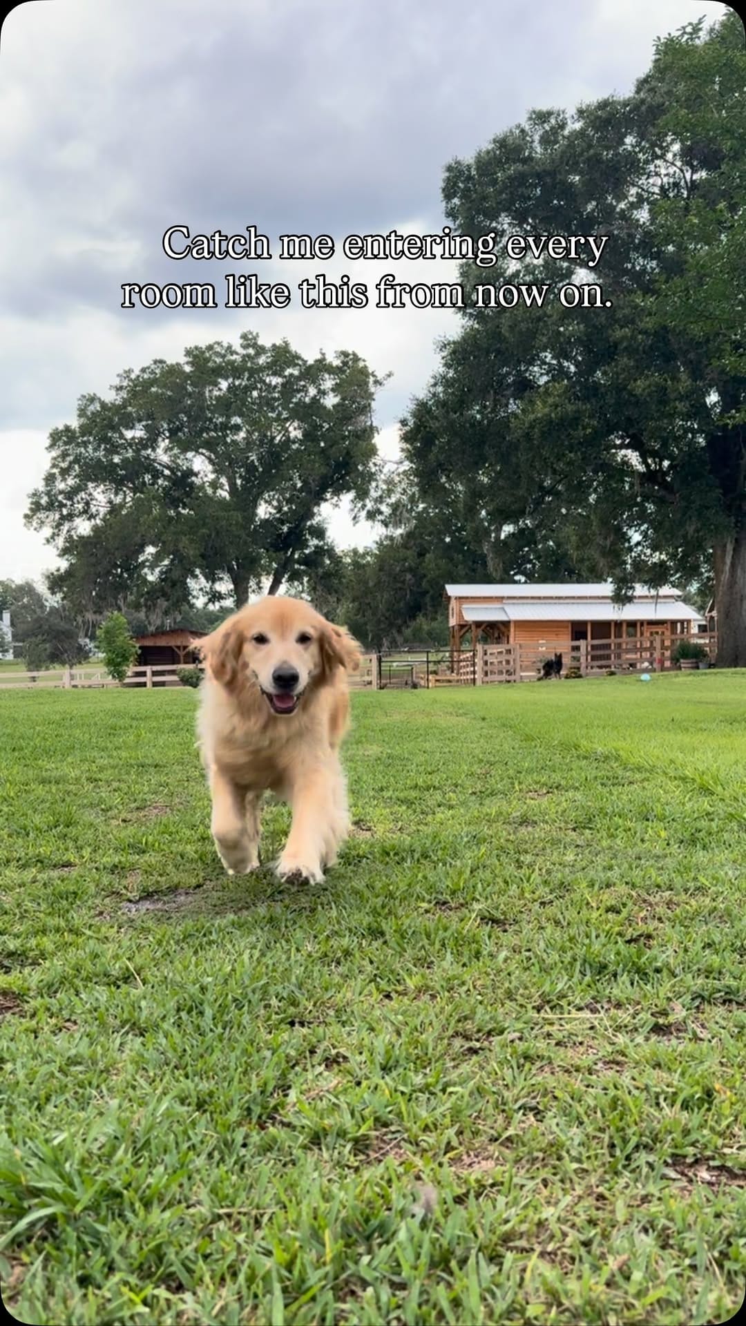 Post 7 by Welcome To The Zoo on Instagram (video)