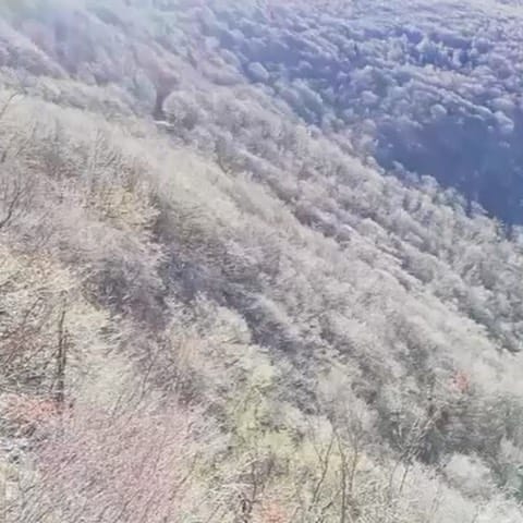 Post 10 by Garda Lake Travel on Instagram (video)