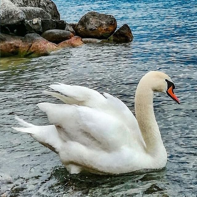 Post 8 by Garda Lake Travel on Instagram (image)