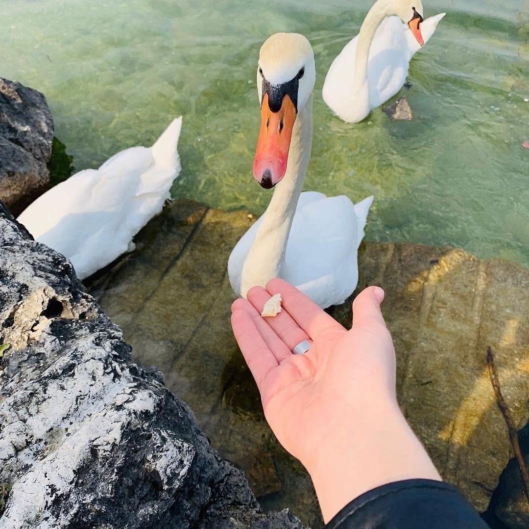 Post 6 by Garda Lake Travel on Instagram (image)