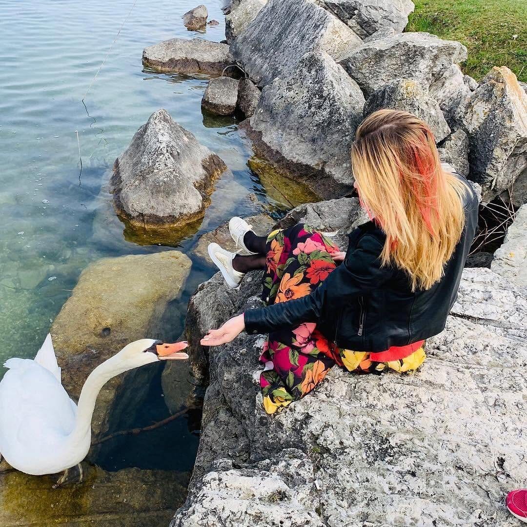 Post 7 by Garda Lake Travel on Instagram (image)