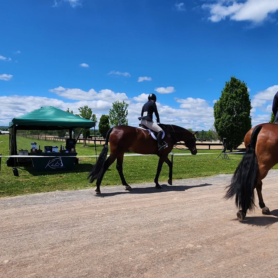 Post 5 by Princeton Show Jumping on Instagram (image)