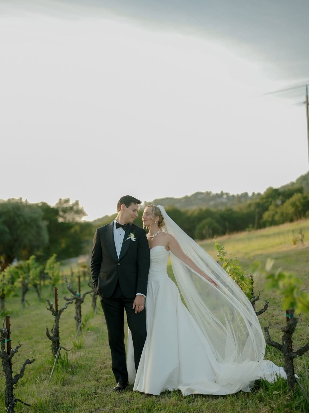 Post 5 by Liz // Napa Wedding Photographer on Instagram (carousel)