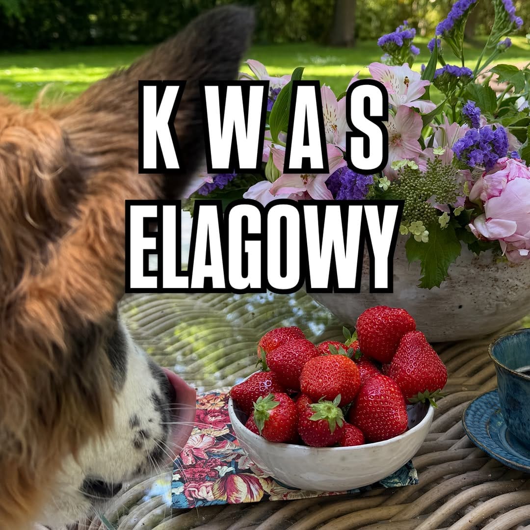 Post 3 by dr Emilia Kałędkiewicz | odżywianie w onkologii on Instagram (carousel)