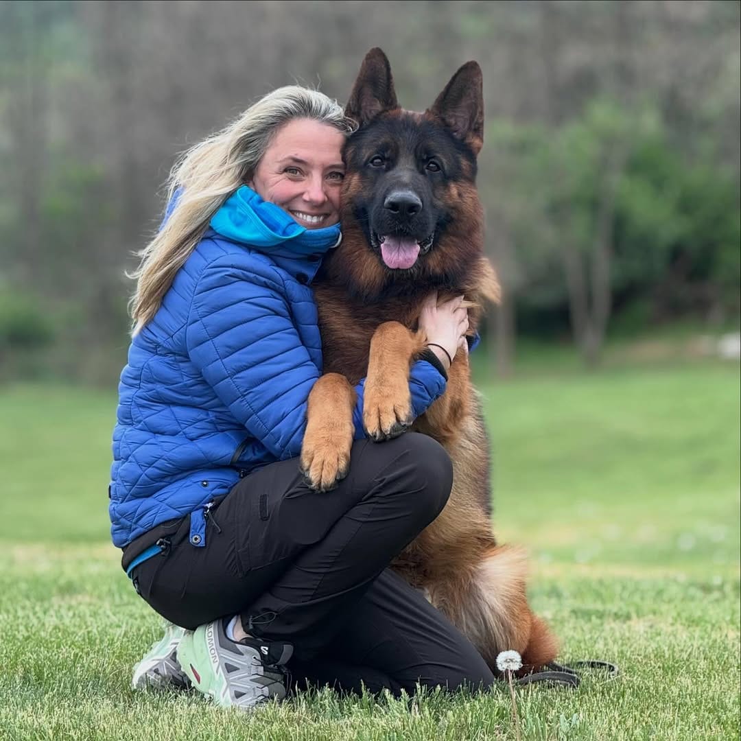 Post 7 by Canine Extreme | German Shepherds on Instagram (image)