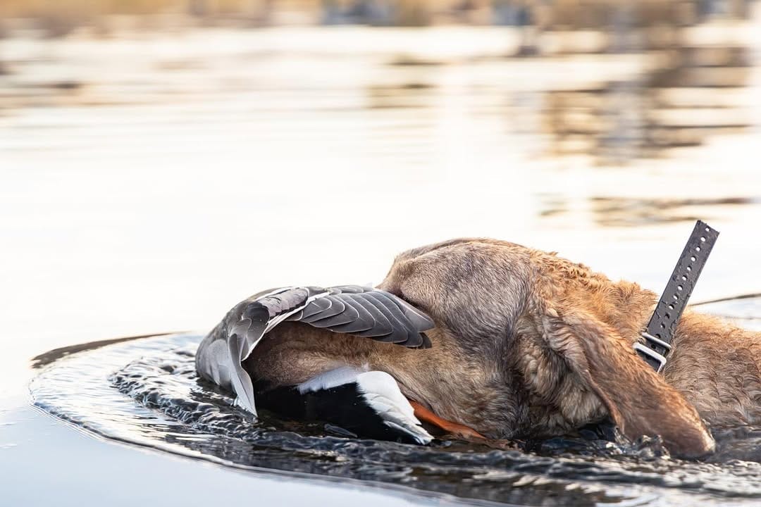 Post 2 by Matt McCormick on Instagram (image)