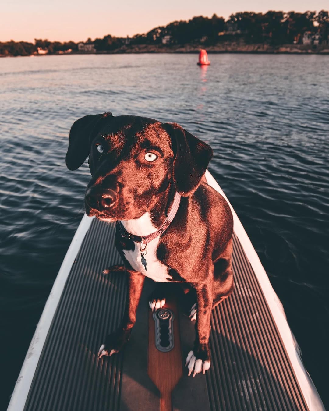 Post 6 by Graham Manning on Instagram (image)