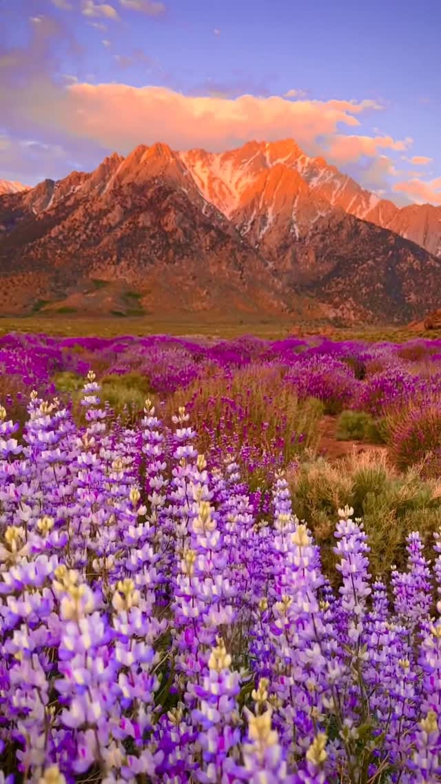 Post 9 by Matt Purciel | Utah & California 📍l Fine Art Photographer on Instagram (video)