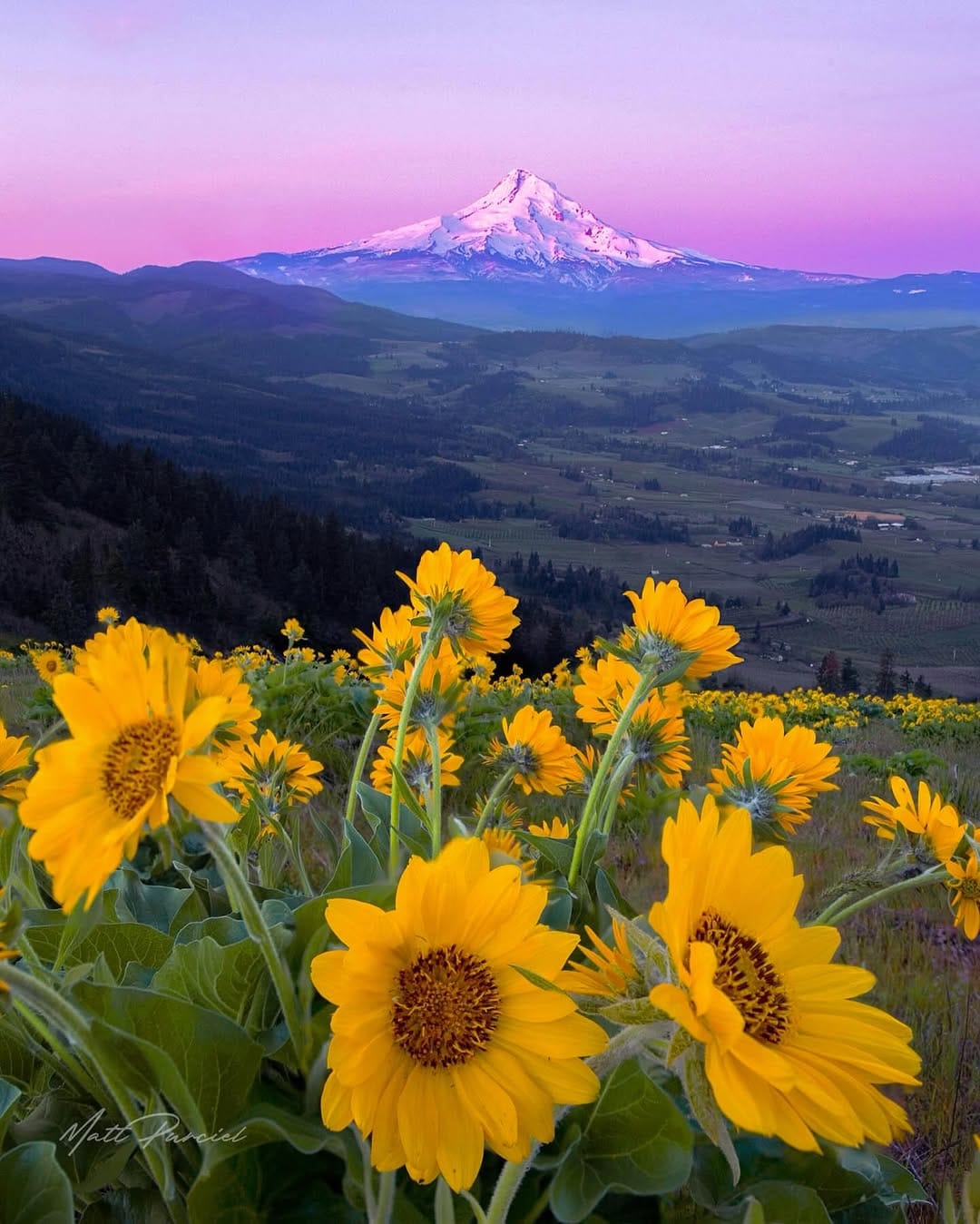 Post 6 by Matt Purciel | Utah & California 📍l Fine Art Photographer on Instagram (carousel)