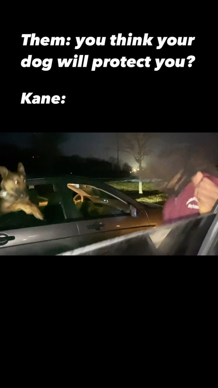 Post 10 by The Dog Father🦮🌟 on Instagram (video)