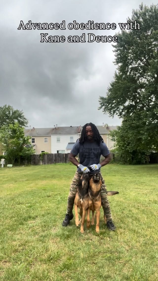 Post 3 by The Dog Father🦮🌟 on Instagram (video)