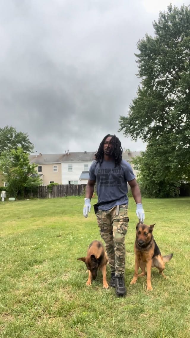 Post 4 by The Dog Father🦮🌟 on Instagram (video)