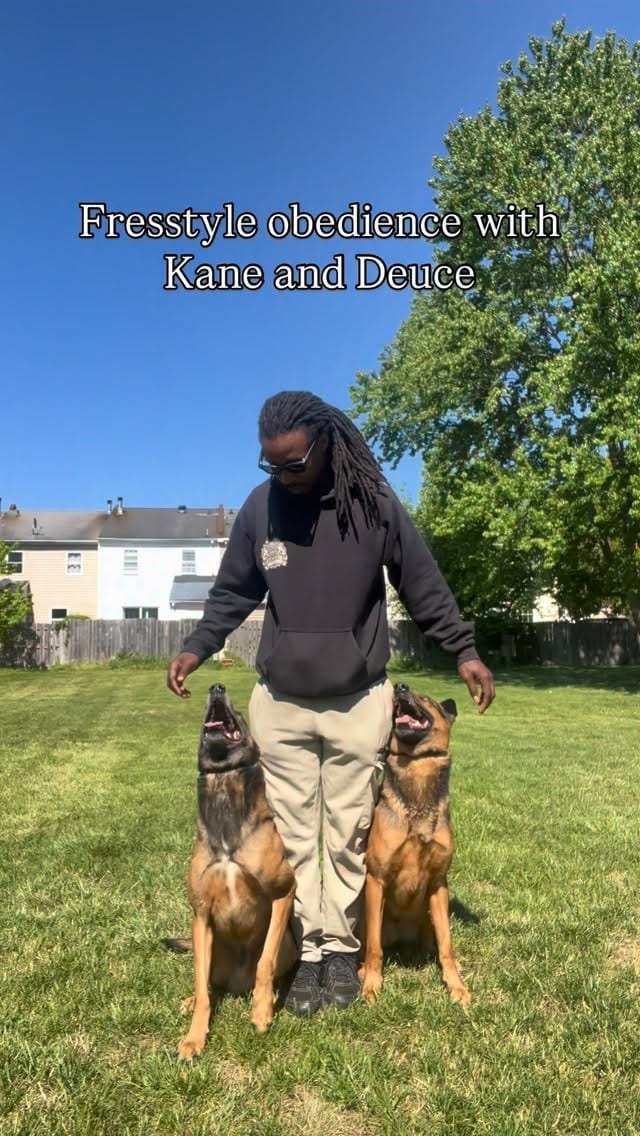 Post 7 by The Dog Father🦮🌟 on Instagram (video)