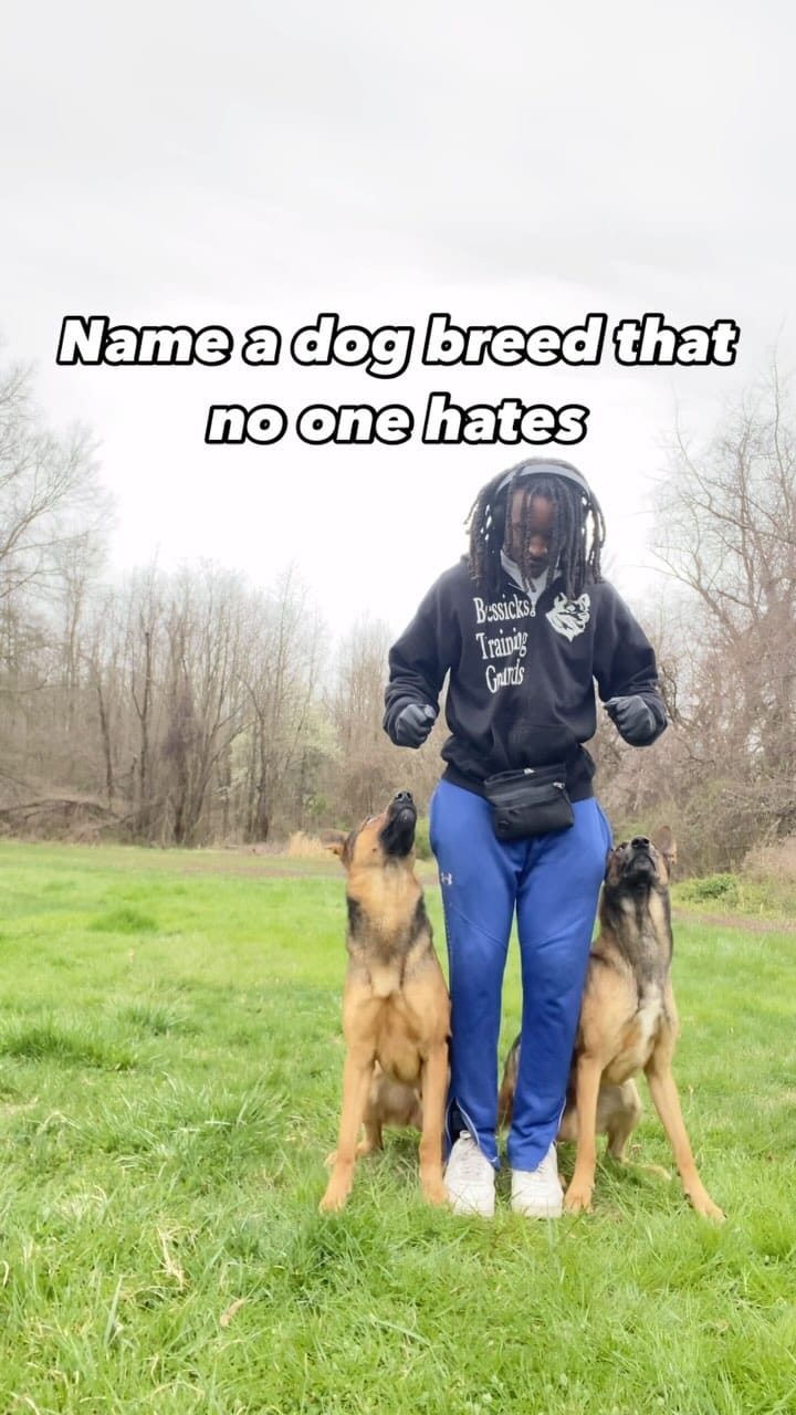 Post 9 by The Dog Father🦮🌟 on Instagram (video)