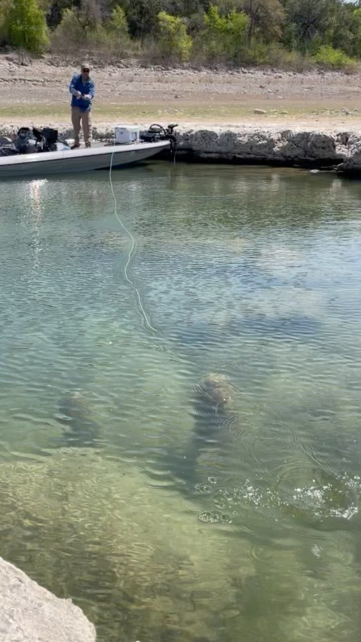 Post 10 by Capt. Wyatt Rae on Instagram (video)