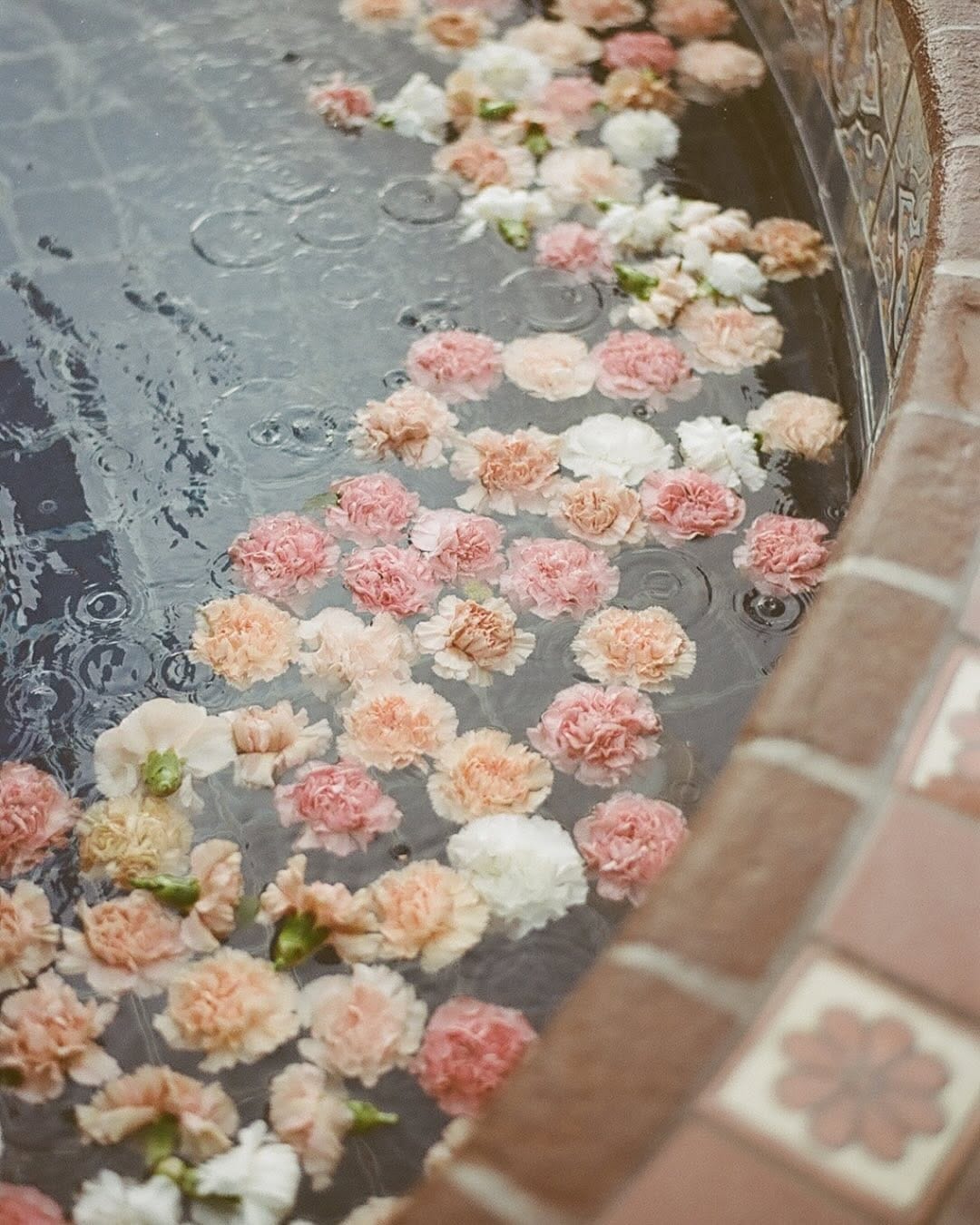 Post 6 by Komal | Destination Wedding Photographer on Instagram (carousel)