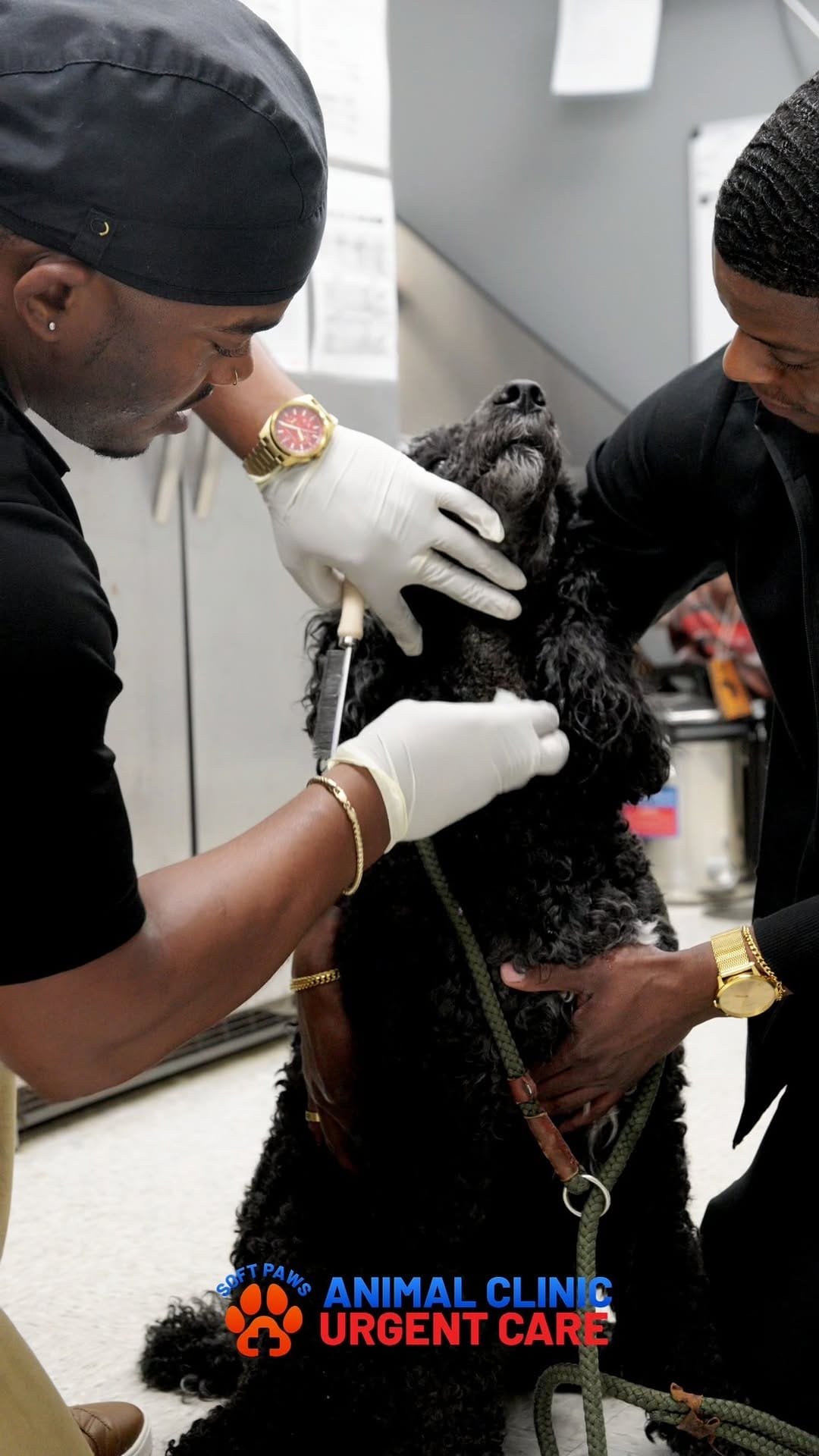 Post 4 by Jackson’s Veterinary Services/Soft Paws Animal Clinic +UC on Instagram (video)