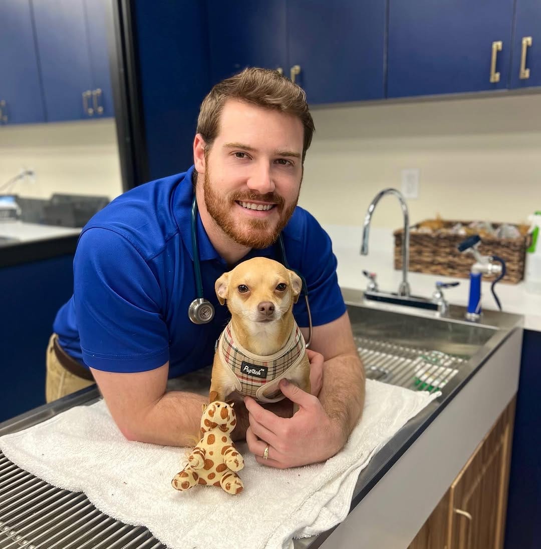 Post 5 by Pet Method Animal Hospital on Instagram (image)