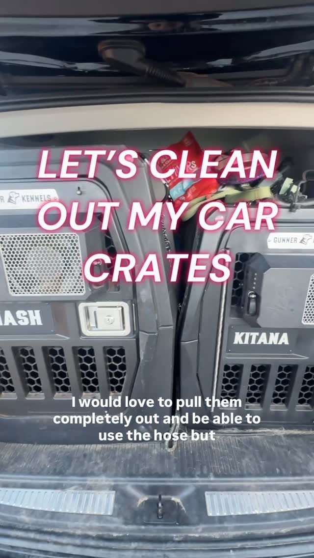 Post 8 by Claire | Loyalty K9 Training on Instagram (video)