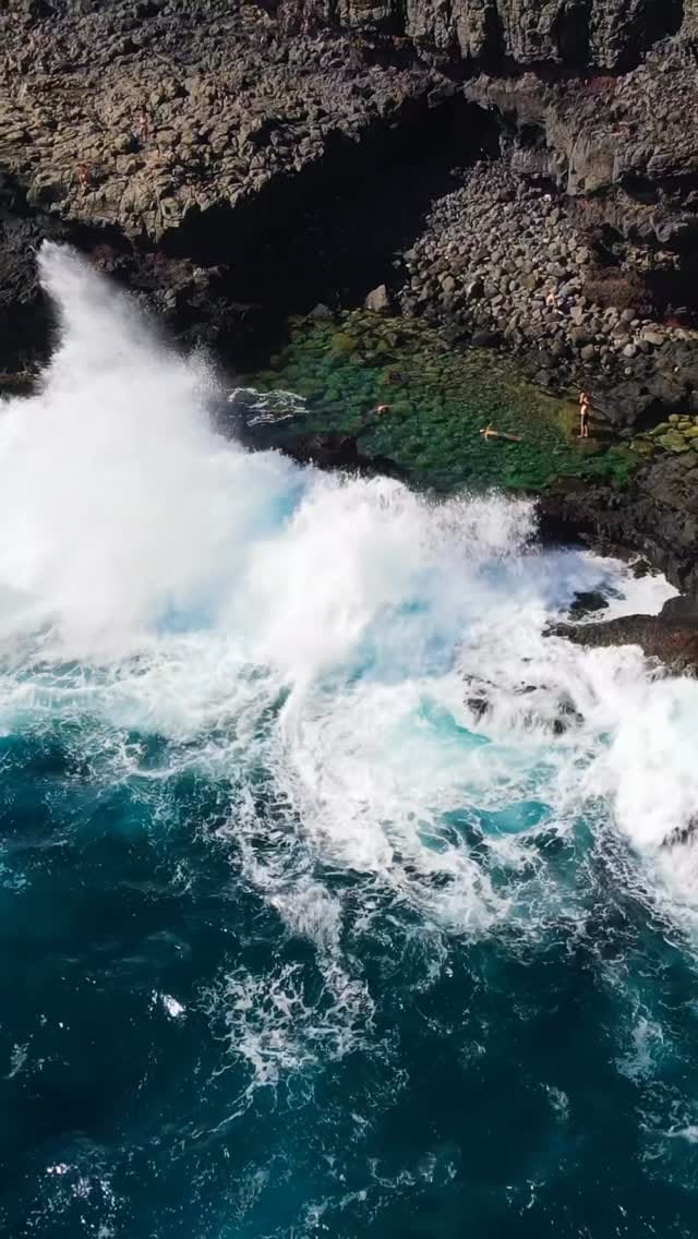 Post 5 by 𝐎𝐥𝐥𝐢𝐞 𝐅𝐞𝐚𝐫𝐢𝐧𝐠 on Instagram (video)