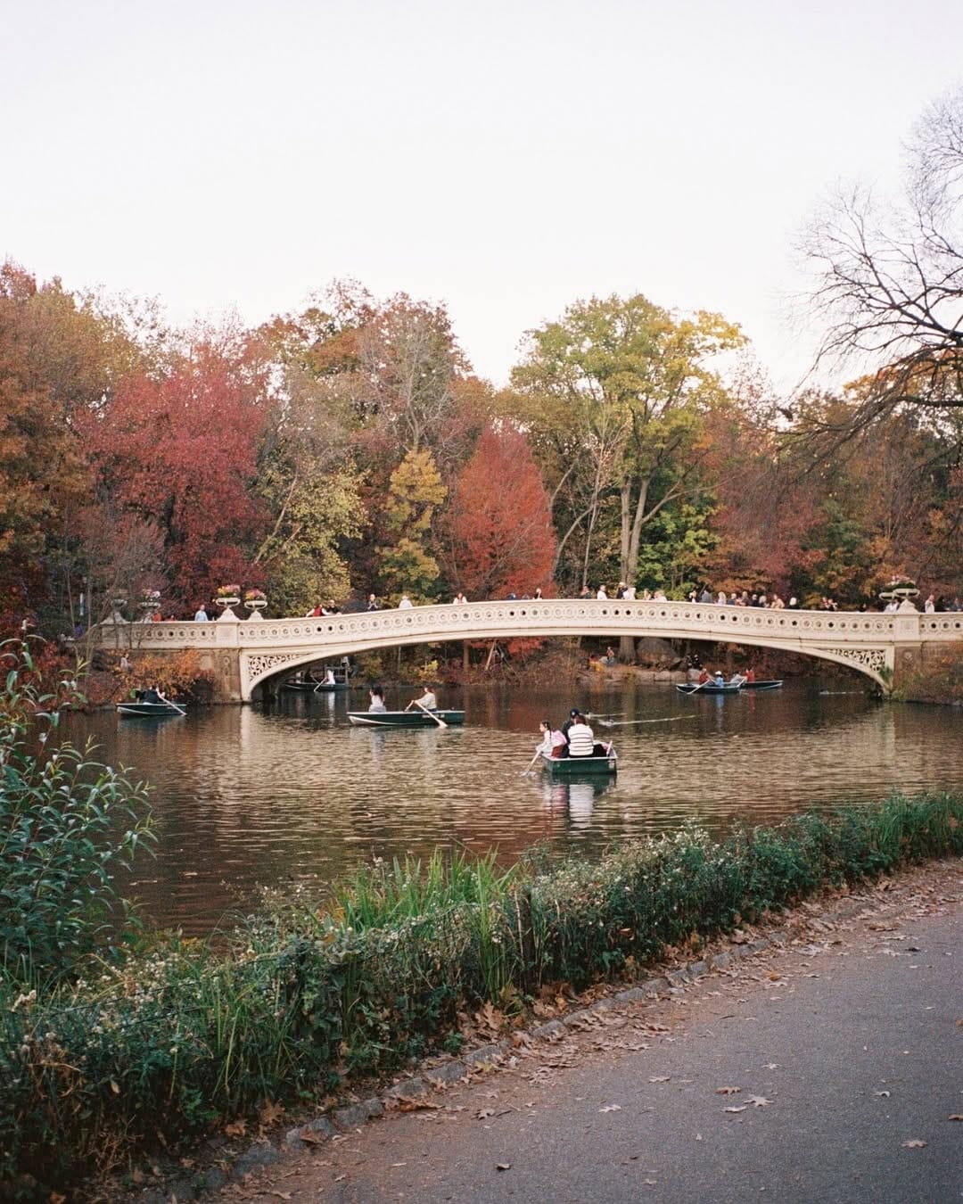 Post 9 by Nicole Lea Photo | Destination Wedding Photographer on Instagram (carousel)