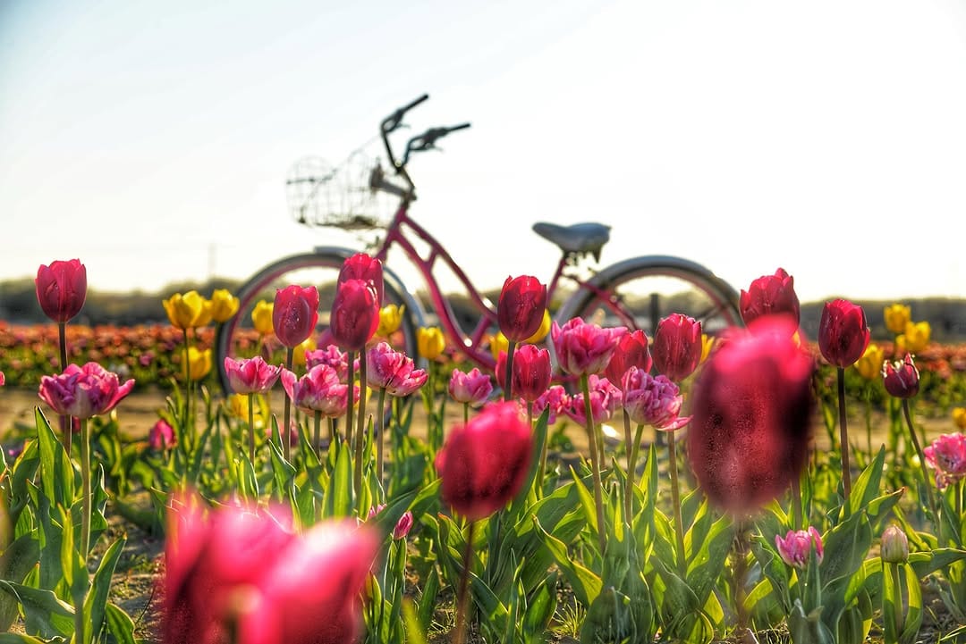 Post 4 by Delia Fasano on Instagram (image)