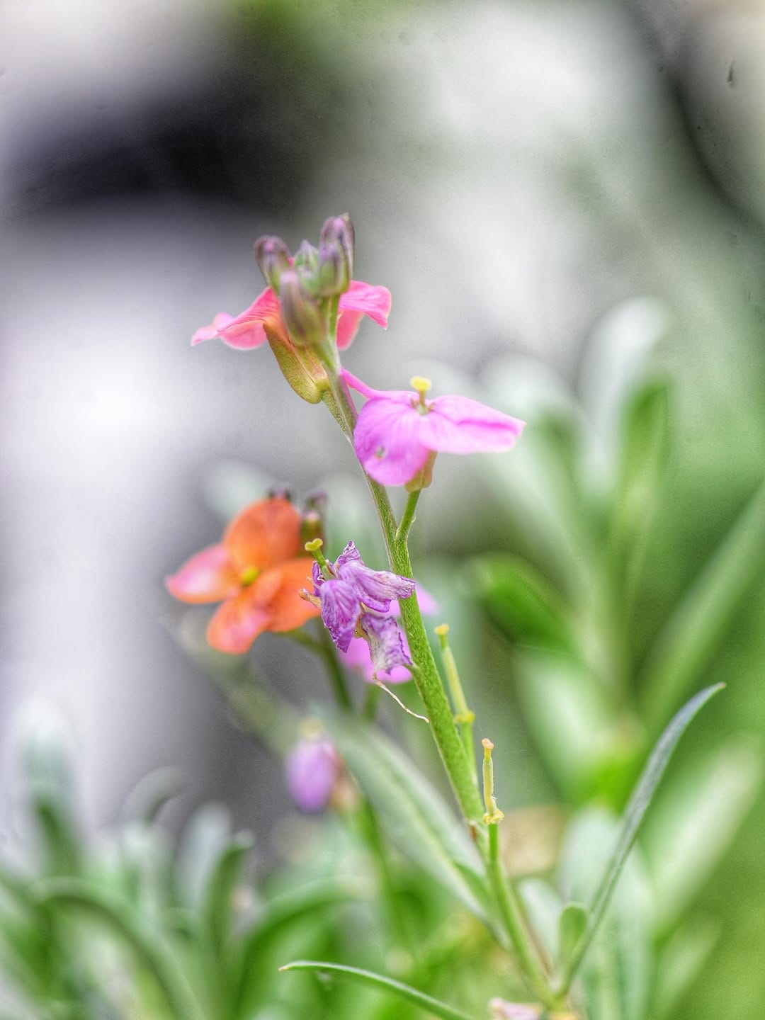 Post 3 by Delia Fasano on Instagram (image)