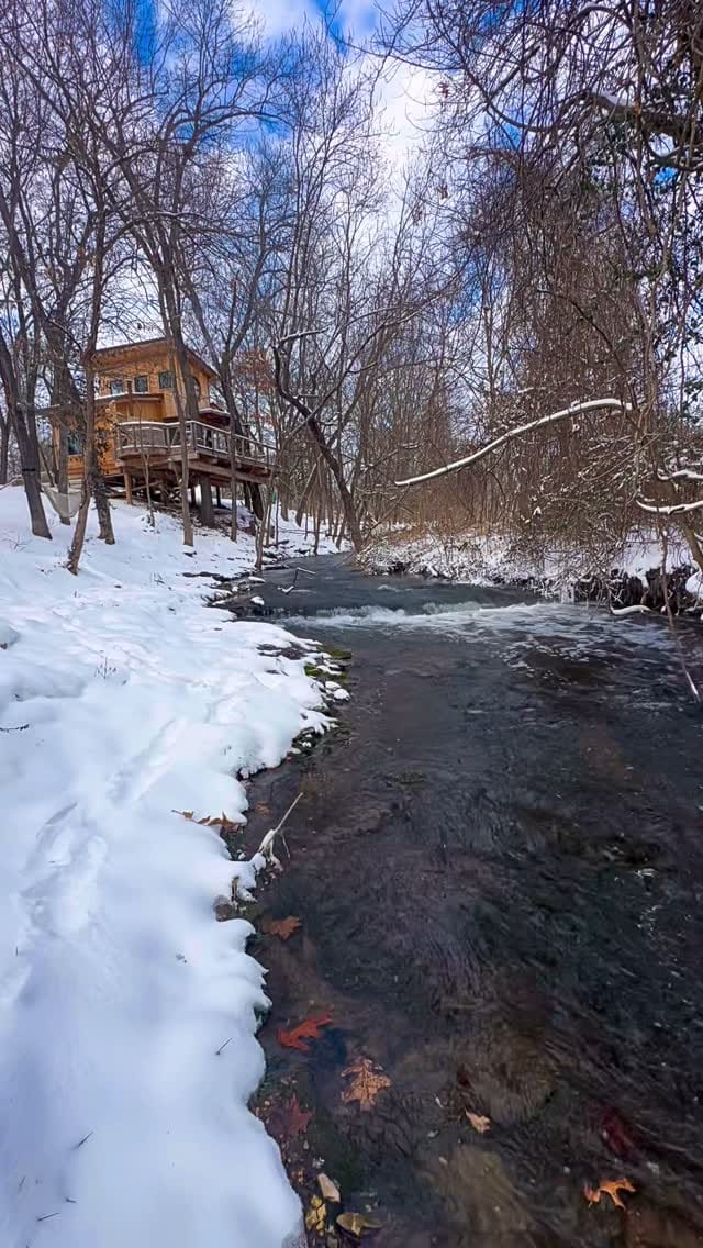Post 1 by Treehouse Rental on Instagram (video)