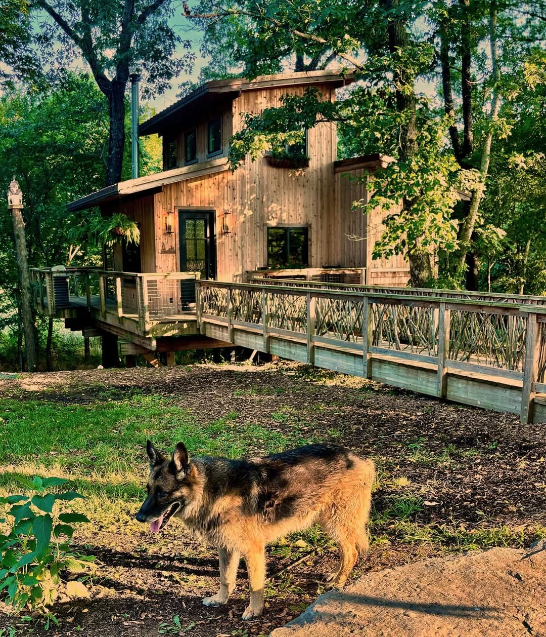 Post 2 by Treehouse Rental on Instagram (image)