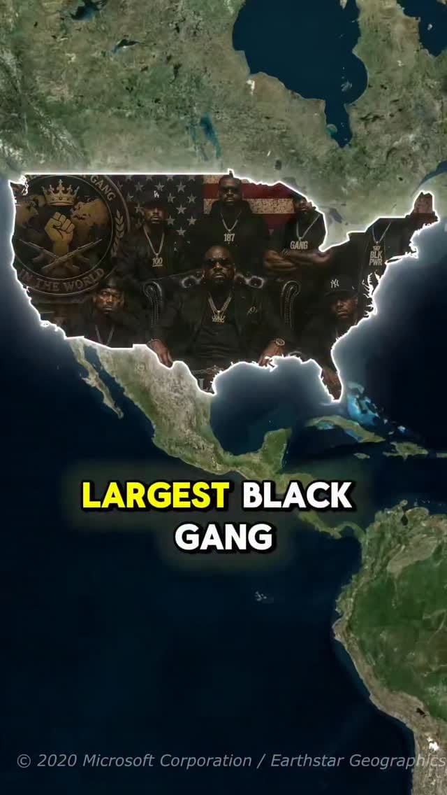 Post 3 by ʟᴇɢᴀᴄʏ ꜰɪɪʟᴇꜱ 🇺🇸 on Instagram (video)