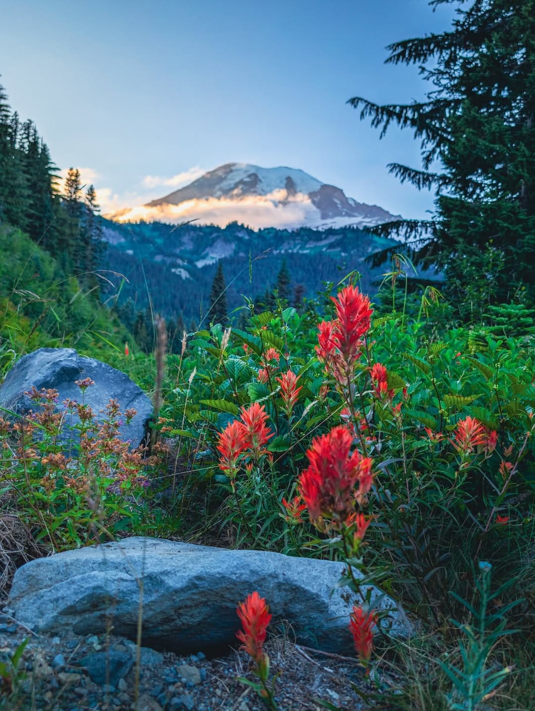 Post 5 by Paul 🌲🚶‍♂️🌲 on Instagram (image)