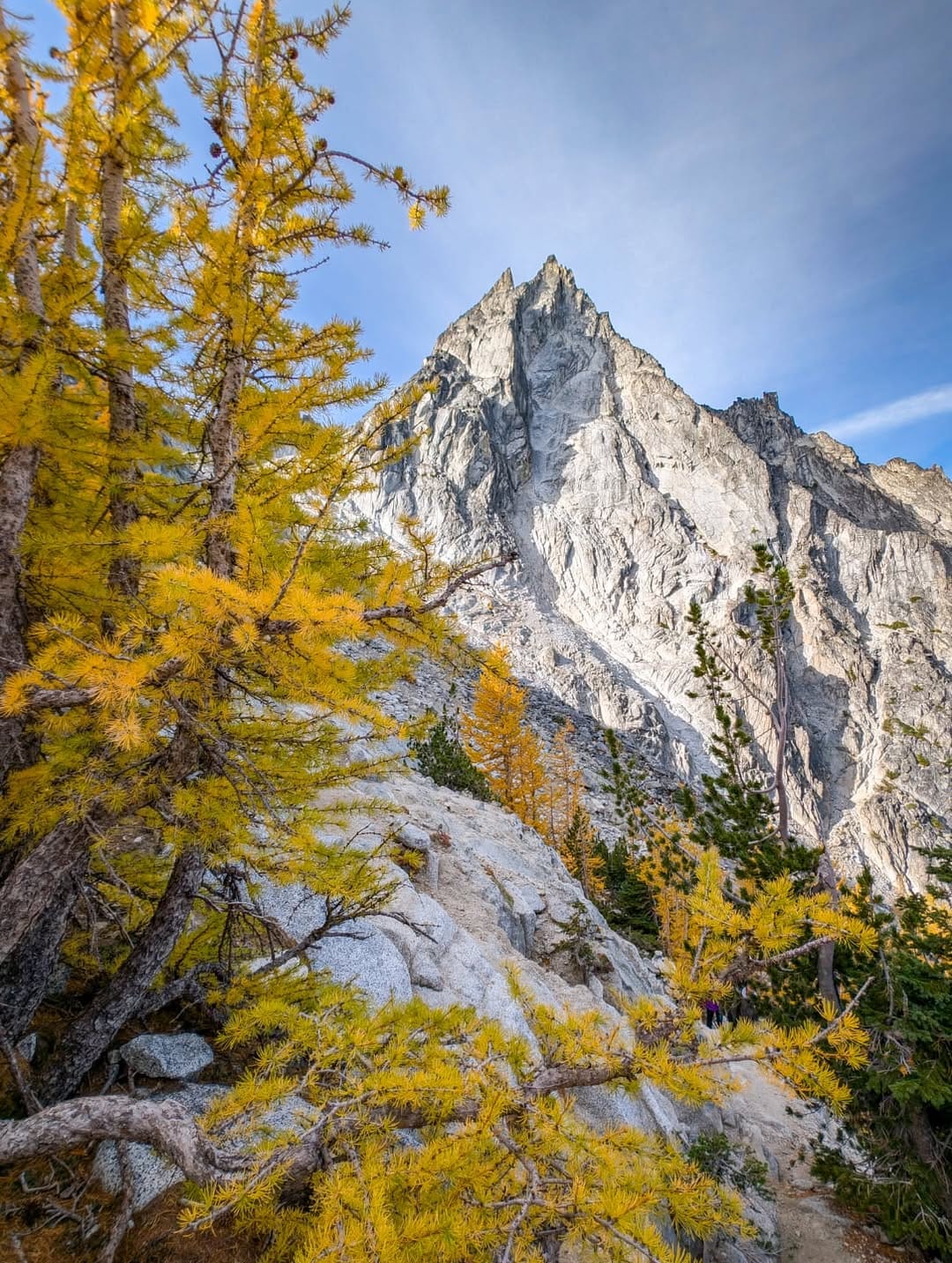 Post 2 by Paul 🌲🚶‍♂️🌲 on Instagram (image)