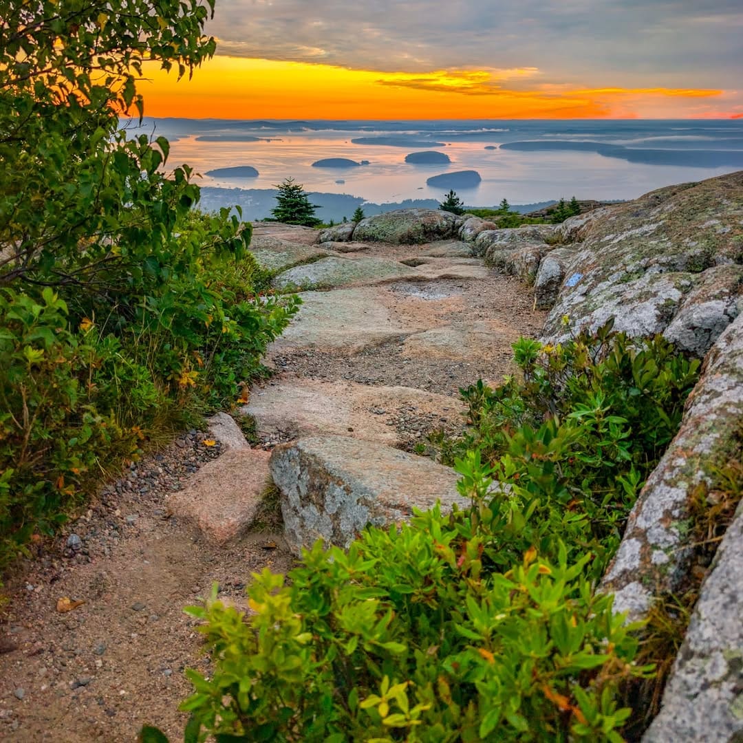 Post 8 by Paul 🌲🚶‍♂️🌲 on Instagram (image)