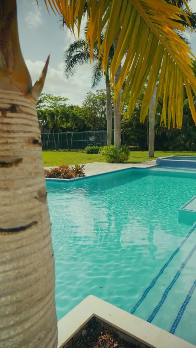 Post 6 by Dr. Bria Harris on Instagram (video)