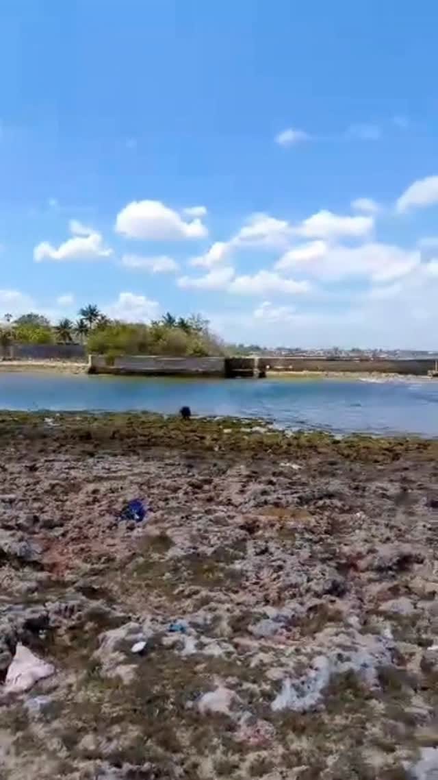 Post 5 by Danny Shaw on Instagram (video)